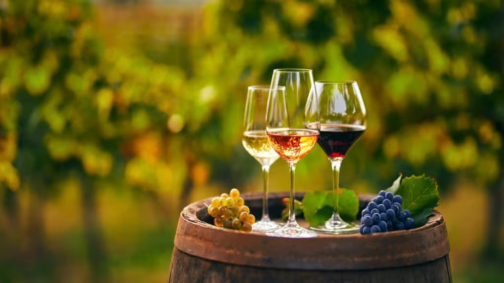 Vetro Wine House Didim